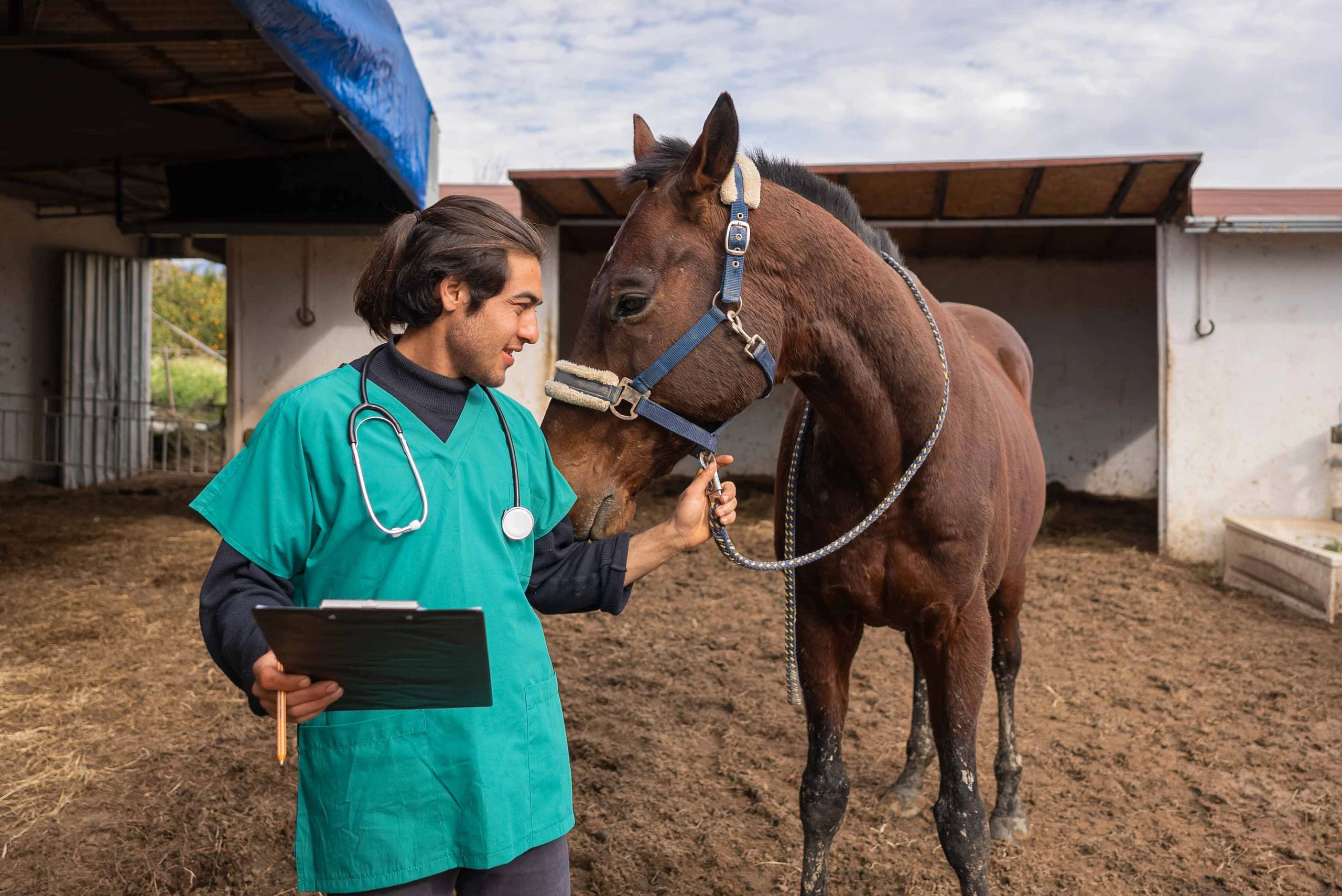 Detailed horse profile with medical records
