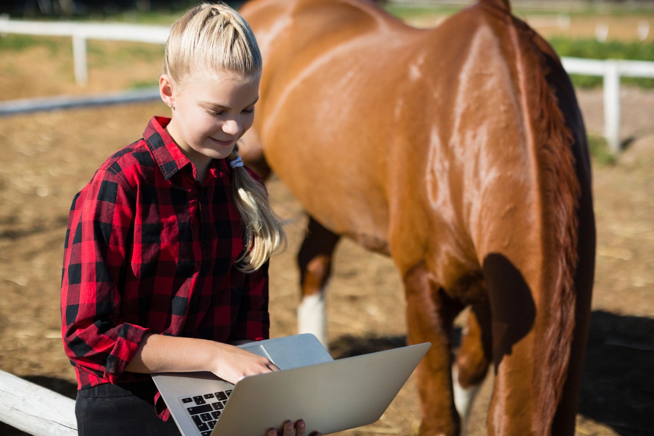 Horse owner using a digital dashboard