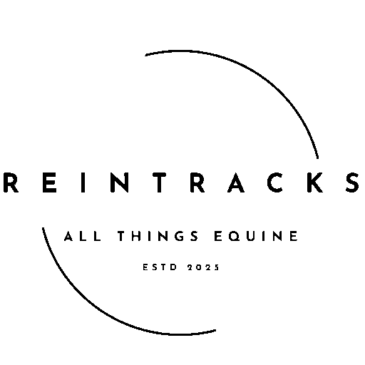 ReinTracks